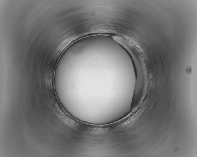 X0000089911273200707201748