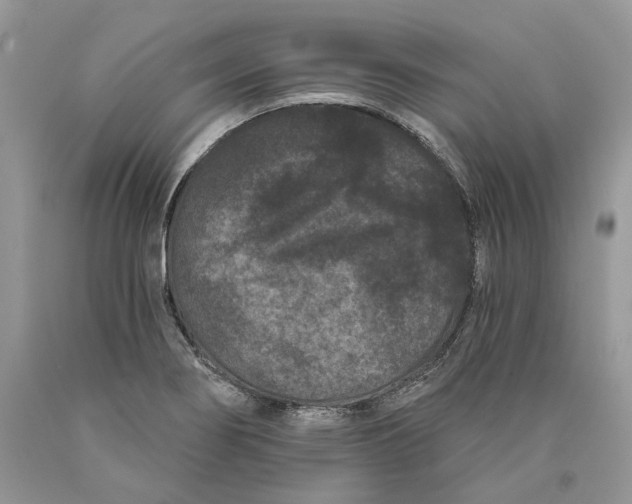 X0000089911274200707201748