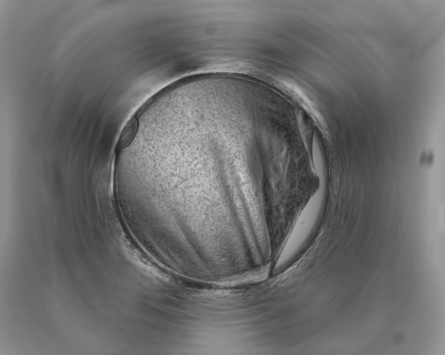 X0000089911276200707201748