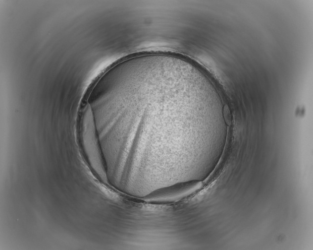 X0000089911277200707201748