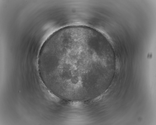 X0000089911278200707201748