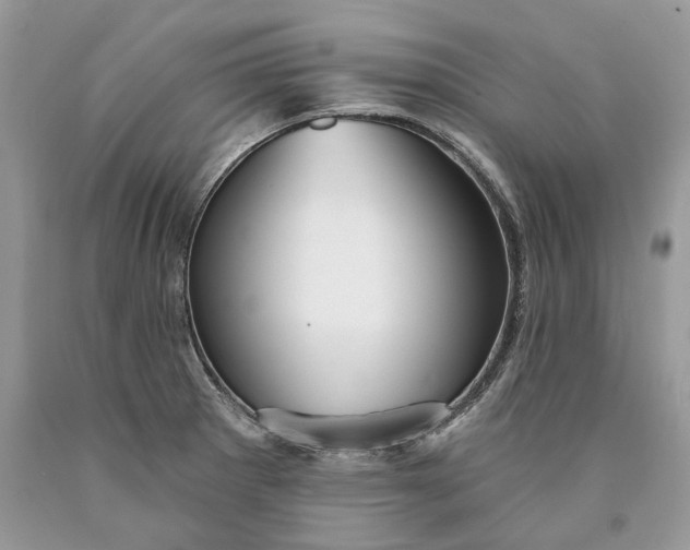 X0000089911281200707201748
