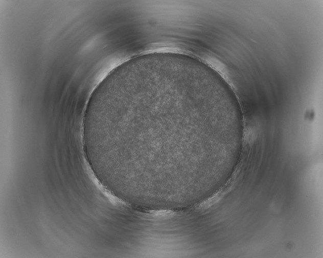 X0000089911282200707201748