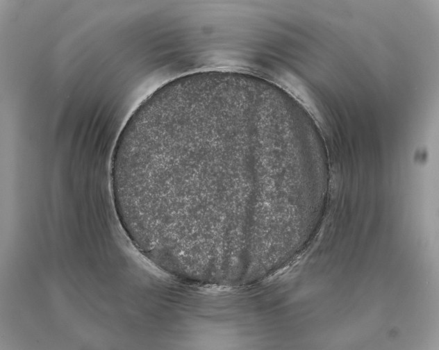 X0000089911283200707201748