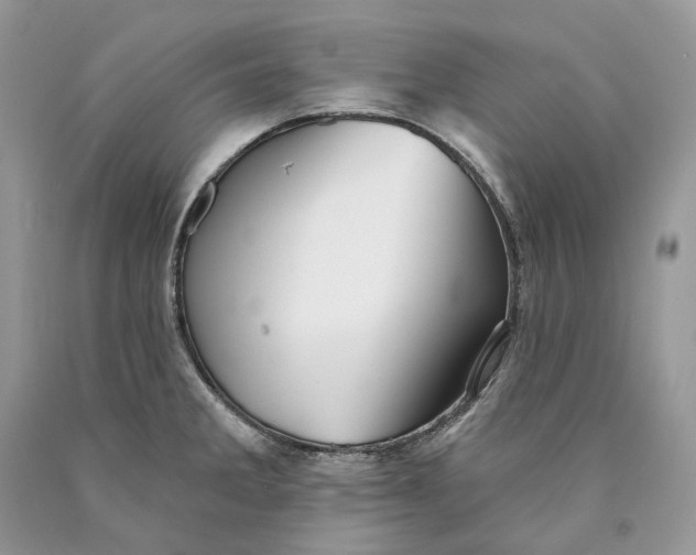 X0000089911285200707201748