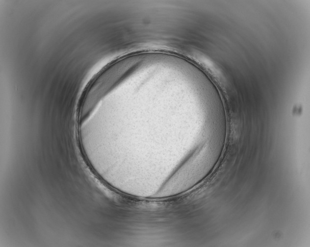 X0000089911286200707201748
