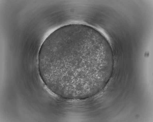 X0000089911287200707201748