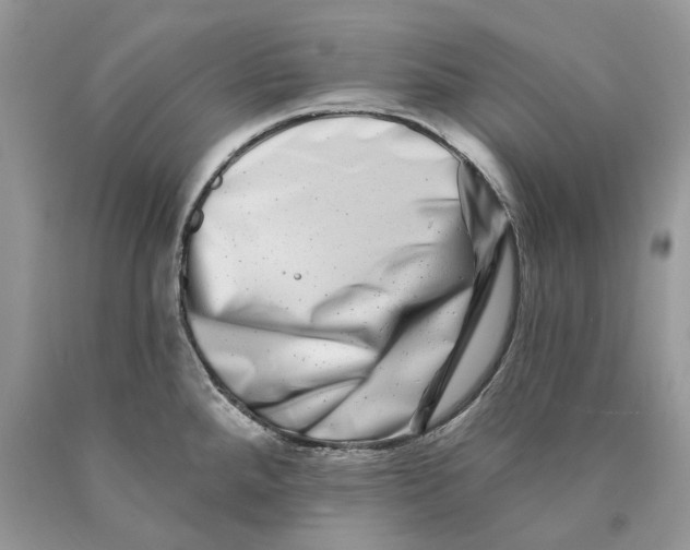 X0000089911288200707201748