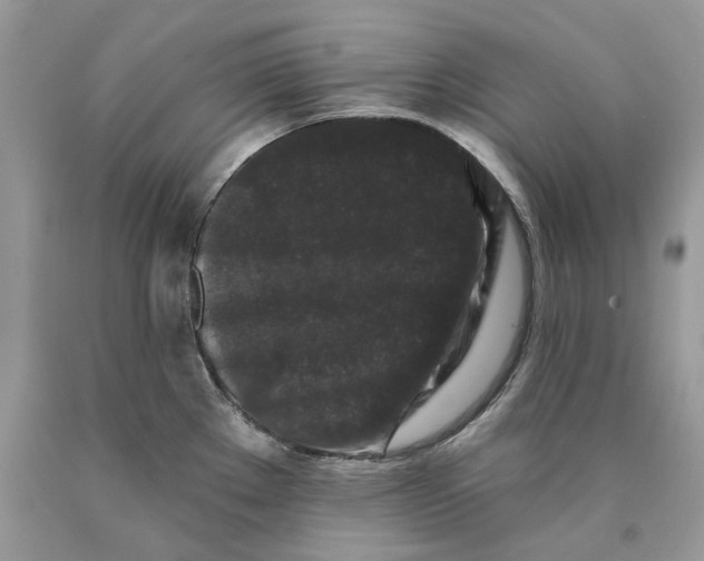 X0000089911289200707201748