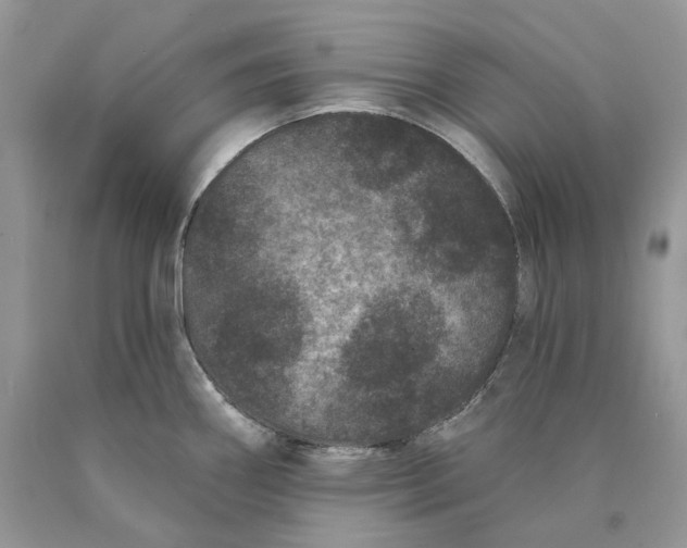 X0000089911290200707201748