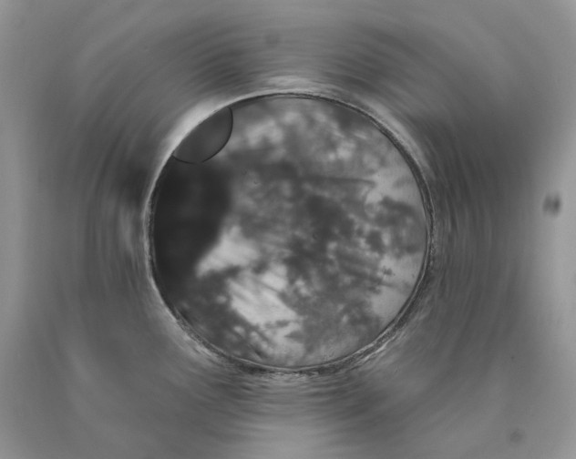 X0000089911291200707201748