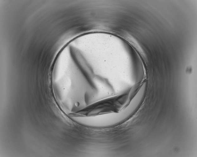 X0000089911292200707201748