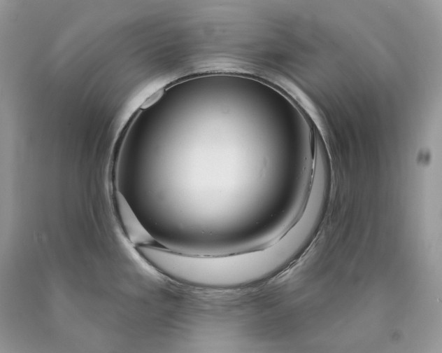 X0000089911293200707201748