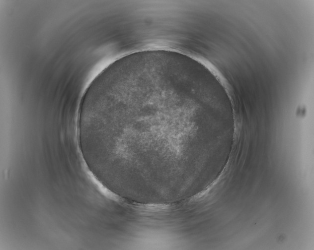 X0000089911294200707201748