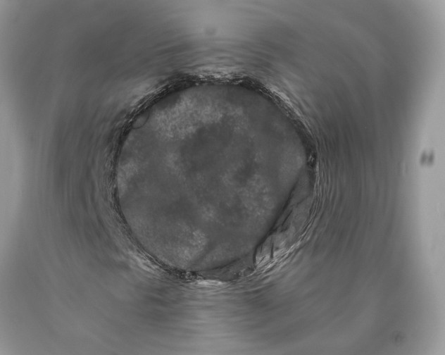 X0000089911297200707201747