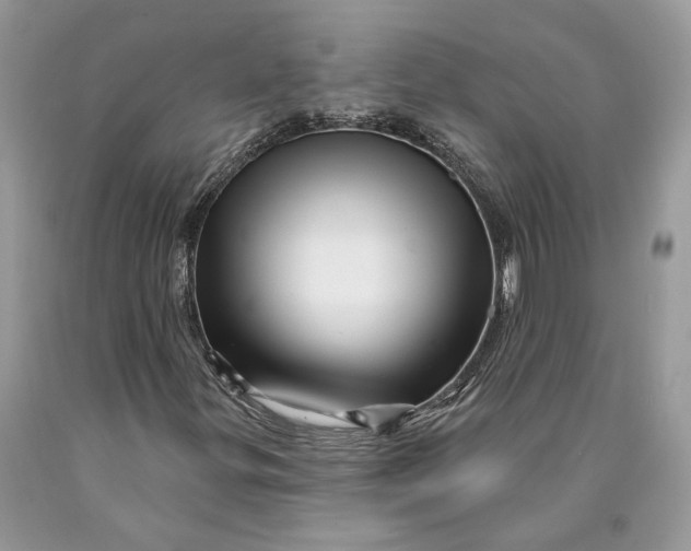 X0000089911299200707201747