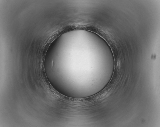X0000089911300200707201747