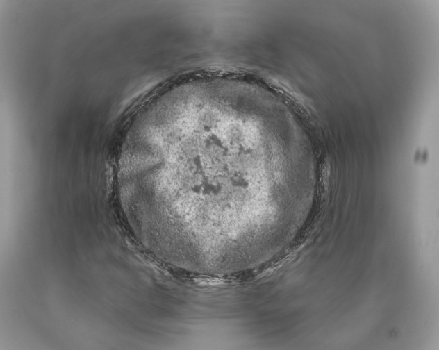 X0000089911302200707201747
