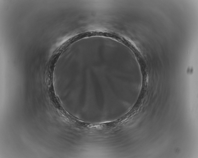 X0000089911303200707201747