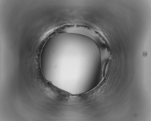 X0000089911304200707201747