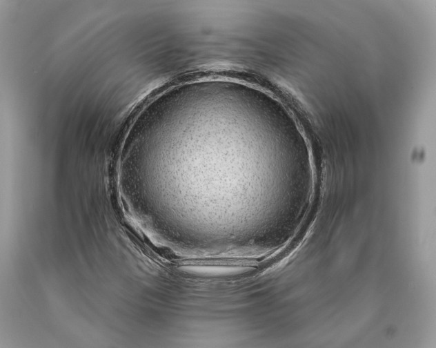 X0000089911305200707201747
