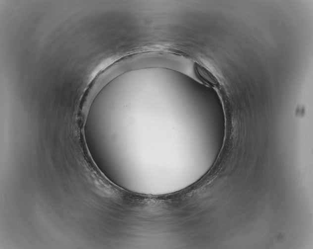 X0000089911308200707201747
