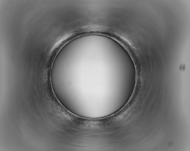 X0000089911309200707201747