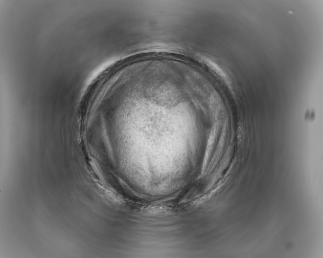 X0000089911310200707201747