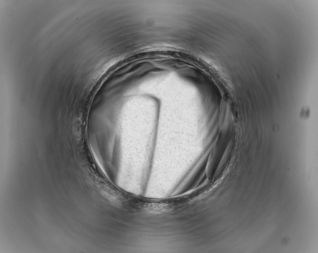 X0000089911313200707201747