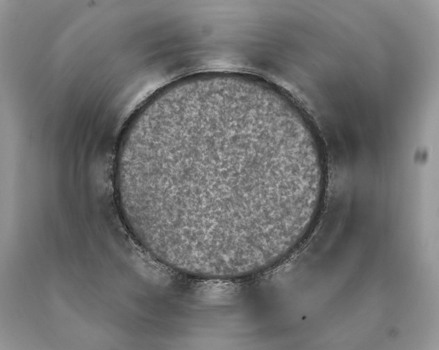 X0000089911314200707201747