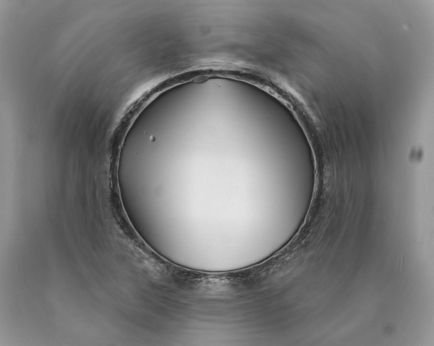 X0000089911315200707201747