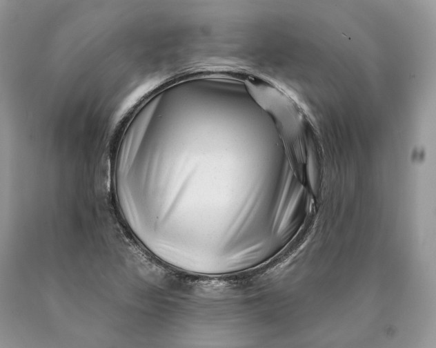 X0000089911317200707201747