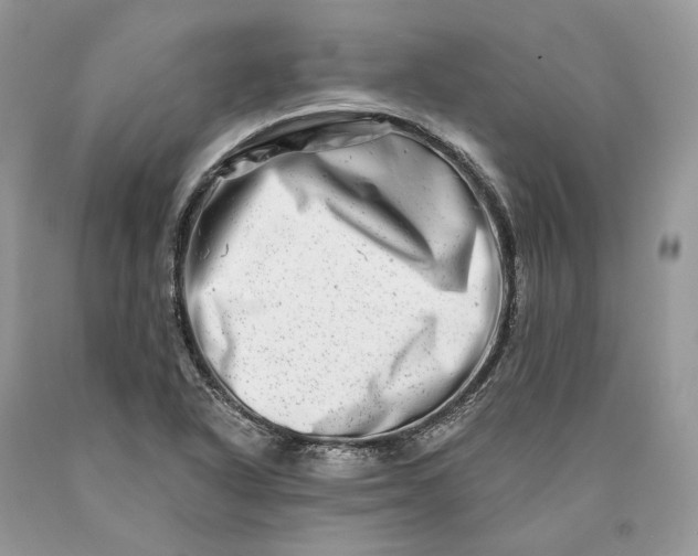 X0000089911318200707201747