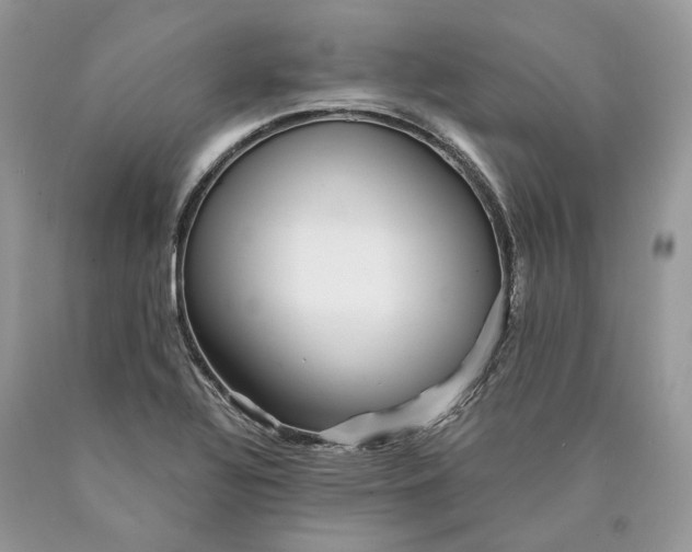 X0000089911320200707201747