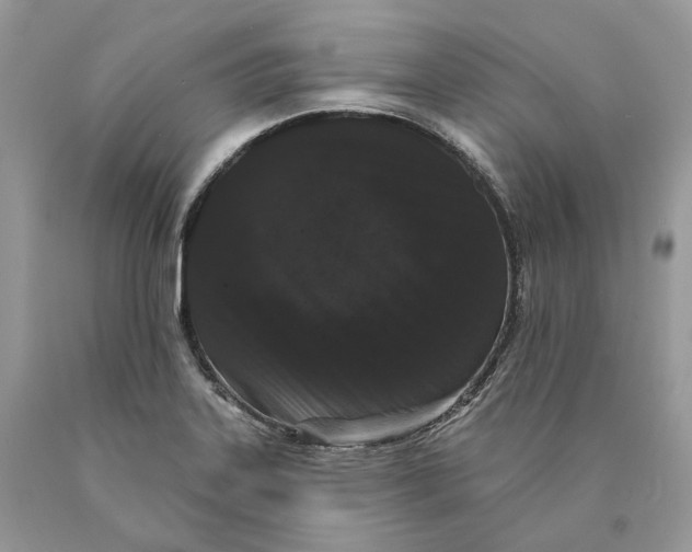 X0000089911323200707201747
