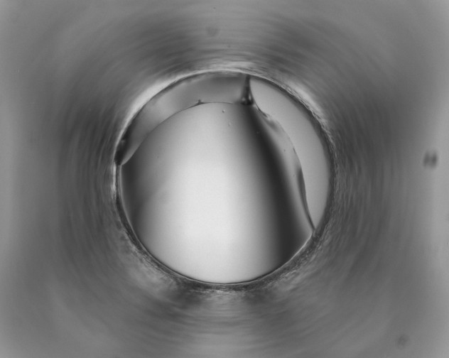 X0000089911324200707201747