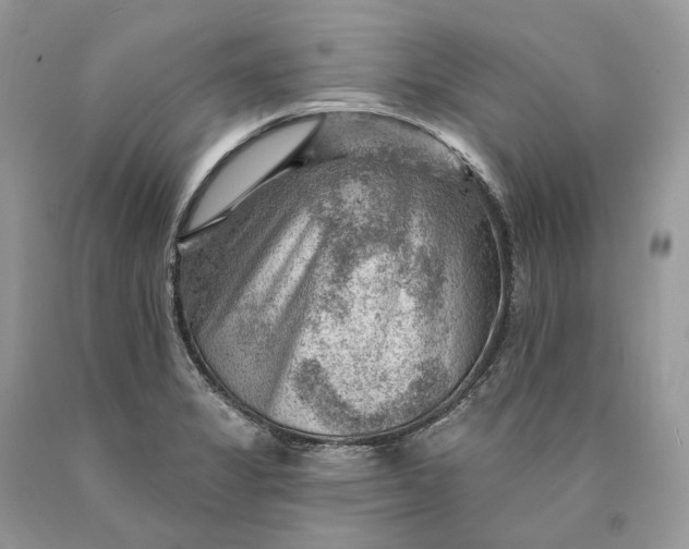 X0000089911325200707201747