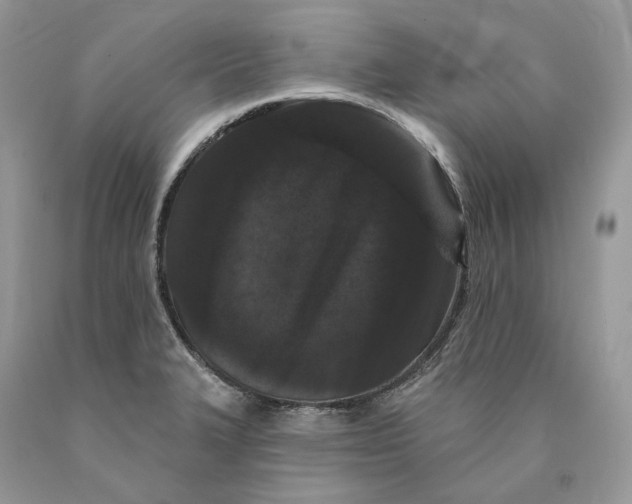 X0000089911327200707201747