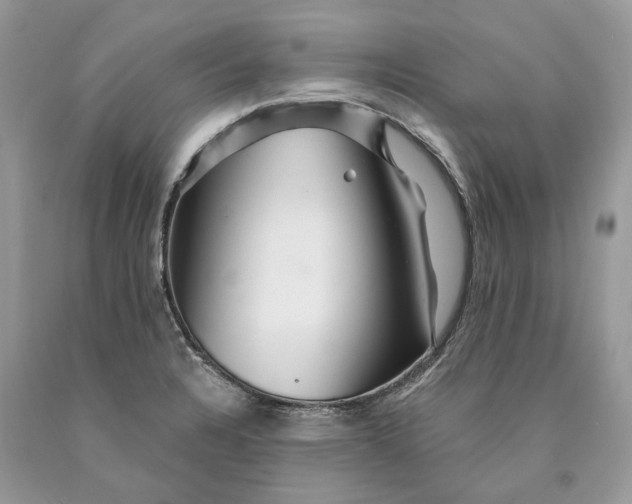 X0000089911328200707201747