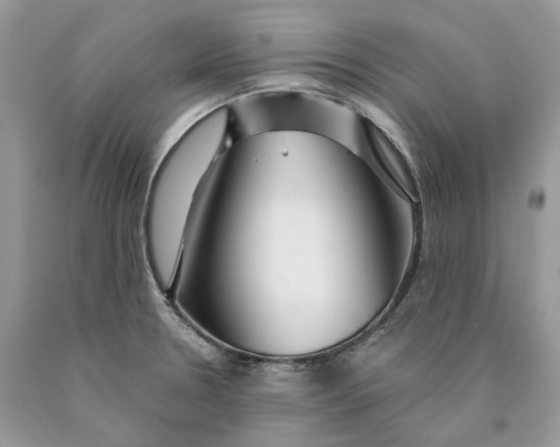 X0000089911330200707201747