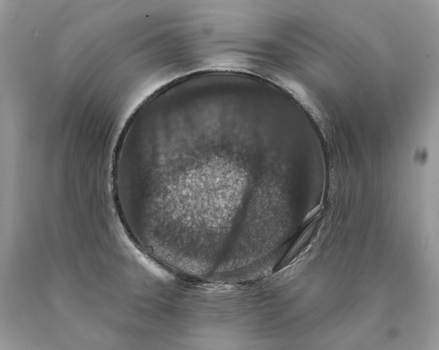 X0000089911331200707201747