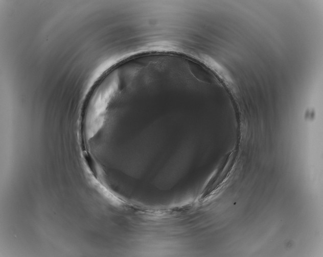 X0000089911334200707201747