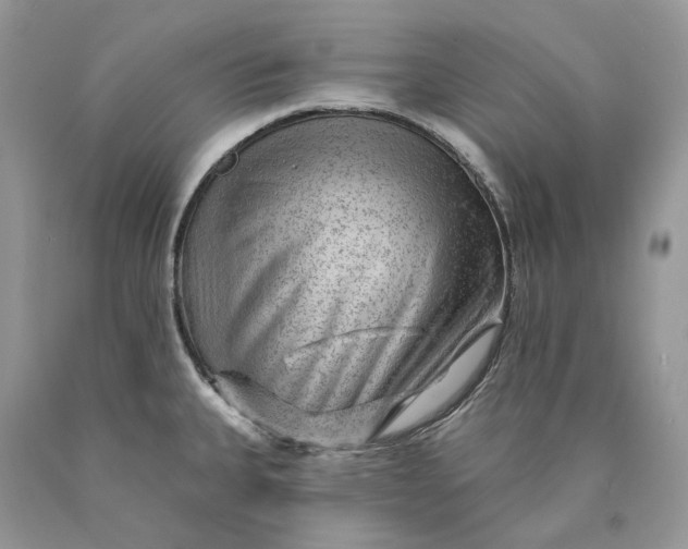 X0000089911335200707201747