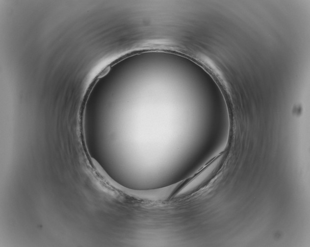 X0000089911336200707201747