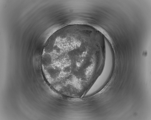X0000089911337200707201747