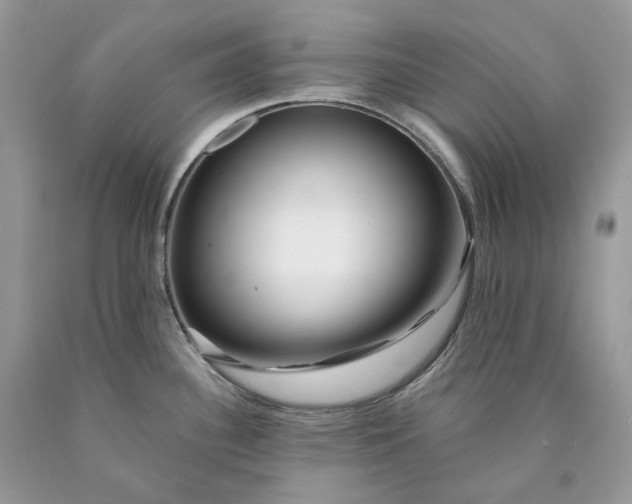 X0000089911340200707201747