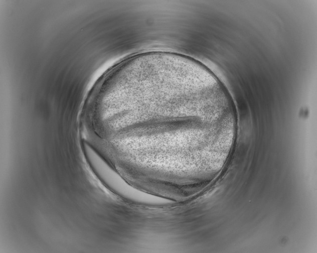 X0000089911341200707201747