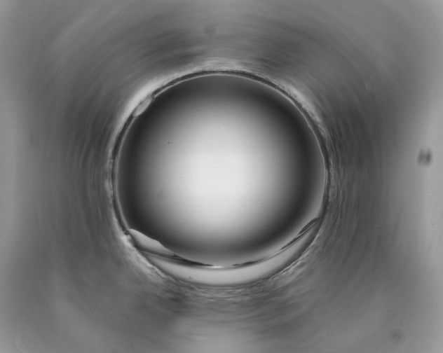 X0000089911342200707201747