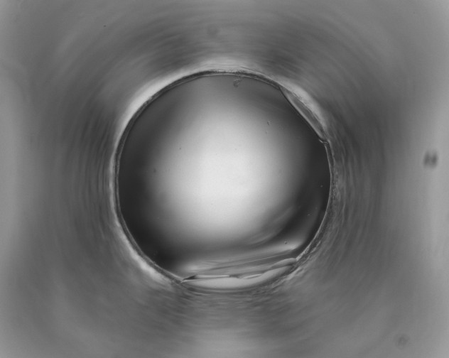 X0000089911343200707201747