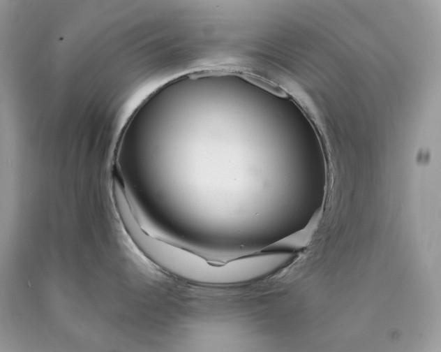 X0000089911344200707201747